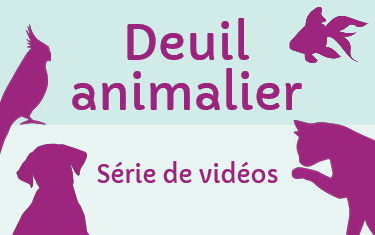 Nouvelle série de vidéos - Le deuil animalier